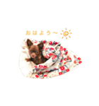 ぼく、ベイク ！（個別スタンプ：1）