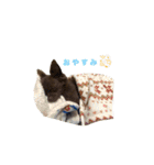 ぼく、ベイク ！（個別スタンプ：2）