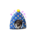 ぼく、ベイク ！（個別スタンプ：10）