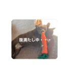 ぼく、ベイク ！（個別スタンプ：19）