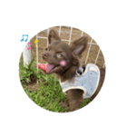 ぼく、ベイク ！（個別スタンプ：21）