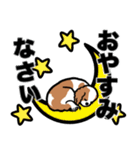 キャバリアのハルタくん（個別スタンプ：4）