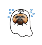 CRYSTALオリジナルスタンプ2（個別スタンプ：12）