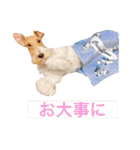 CRYSTALオリジナルスタンプ2（個別スタンプ：24）