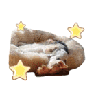 CRYSTALオリジナルスタンプ2（個別スタンプ：38）