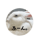 Cleすたんぷ。（個別スタンプ：2）