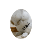 Cleすたんぷ。（個別スタンプ：3）