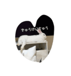 Cleすたんぷ。（個別スタンプ：4）