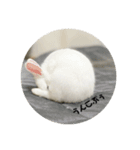 Cleすたんぷ。（個別スタンプ：6）