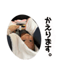 りあちゃんSP（個別スタンプ：14）