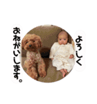 りあちゃんSP（個別スタンプ：28）