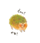 栗ハリネズミ（個別スタンプ：1）