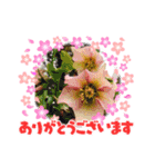 フルーツカッティングつくば（個別スタンプ：4）