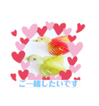 フルーツカッティングつくば（個別スタンプ：13）