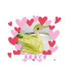 フルーツカッティングつくば（個別スタンプ：15）
