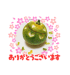 フルーツカッティングつくば（個別スタンプ：22）