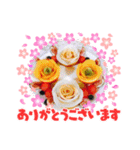 フルーツカッティングつくば（個別スタンプ：31）