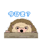 ハリネズミの日常（日本語版）（個別スタンプ：23）