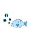 日常に活用♪〈魚〉（個別スタンプ：9）