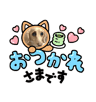 我が家のソラちゃん②（個別スタンプ：1）