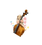 我が家のソラちゃん②（個別スタンプ：3）