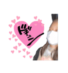 たんたんたたたん！たんたかたったったん✩（個別スタンプ：10）