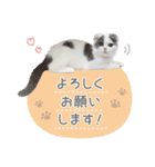 ちゃちゃんち（個別スタンプ：3）