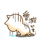 信じる猫（個別スタンプ：16）