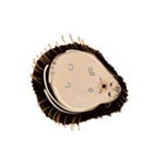 ハリネズミのはり右衛門〜Hedgehog〜（個別スタンプ：17）