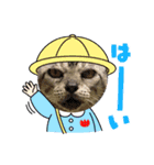 神崎アニマルズ（個別スタンプ：11）