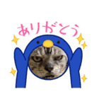 神崎アニマルズ（個別スタンプ：13）