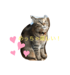 あんずちゃん パート4（個別スタンプ：2）