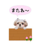 Aru BIGスタンプ（個別スタンプ：4）