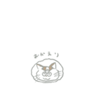 はちわれねこ もんきち（個別スタンプ：8）