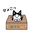 子猫のそらまめ♡スタンプ（個別スタンプ：18）