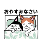 子猫のそらまめ♡スタンプ（個別スタンプ：38）