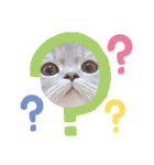 ぎんたまる①（個別スタンプ：10）