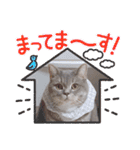 ぎんたまる①（個別スタンプ：21）