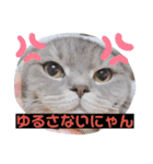 ぎんたまる①（個別スタンプ：24）