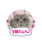 ぎんたまる①（個別スタンプ：31）