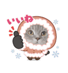 ぎんたまる①（個別スタンプ：35）