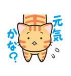 しっぽ＋ねこ♪（個別スタンプ：7）