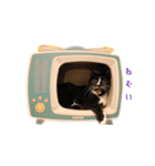 コンソメちゃんとくろずくん（個別スタンプ：11）