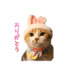 コンソメちゃんとくろずくん（個別スタンプ：16）