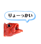 ほうずき君のつぶやき（個別スタンプ：4）