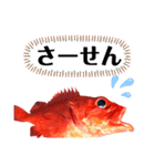 ほうずき君のつぶやき（個別スタンプ：9）