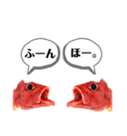 ほうずき君のつぶやき（個別スタンプ：15）
