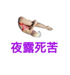 TOKOさん 3（個別スタンプ：3）