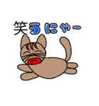 猫の日スタンプ猫の気持ち（個別スタンプ：29）