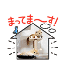 むぎ＆がんちゃん 可愛い挨拶スタンプ（個別スタンプ：19）